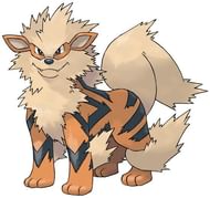 Evolving Growlithe